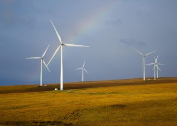 Business representatives: Safe and affordable electricity starts with the development of wind energy